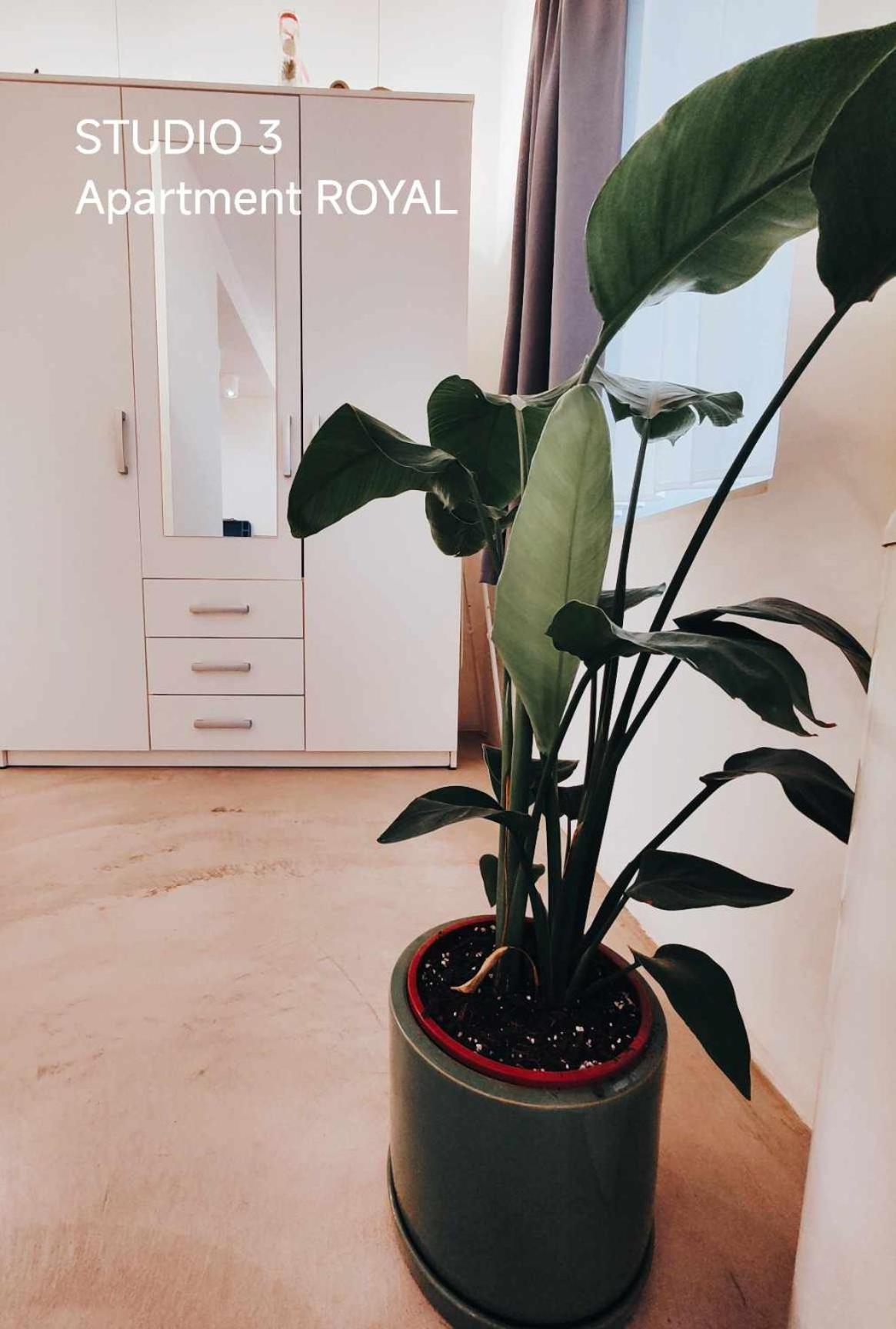 Pekarna Apartments Lublana Zewnętrze zdjęcie